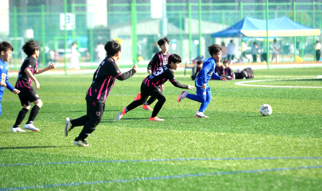 지난 주말 음성군에서는 전국 유소년 축구페스티벌과 전국 생활체육 소프트테니스대회가 개최됐다. 음성군 제공