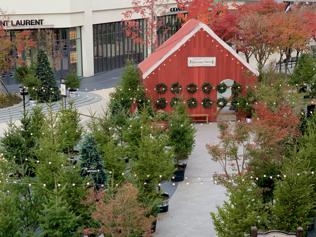 현대프리미엄아울렛 대전점에서는 오는 20일부터 내년 1월 15일까지 크리스마스를 맞이하여 'The Voyage of Christmas Tree'를 테마로 중부권 최대 규모의 크리스마스 연출을 펼친다. 현대프리미엄아울렛 대전점 제공