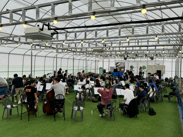 여름음악캠프 진행 사진. 대전문화재단 제공