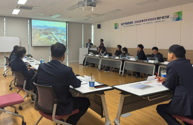 공주시는 민선8기 핵심 사업인 ‘웅진백제문화촌’ 조성 사업의 성공적인 추진을 위해 민간 투자 유치에 총력을 기울이고 있다.