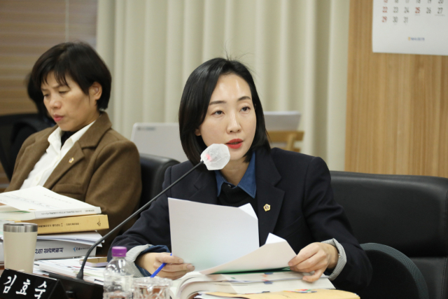 김효숙 세종시의원