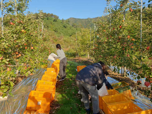 증평군이 전국 최초로 시행한 ‘증평형 농촌일손 더하기’ 시범사업이 지역 농민들에게 큰 호응을 얻고 있다. 