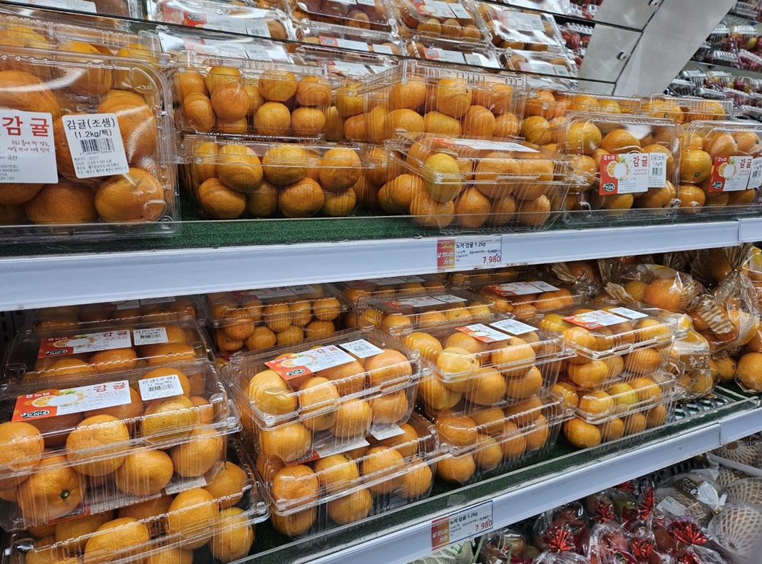 마트에 진열된 귤[촬영 신선미] 사진=연합뉴스.