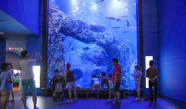 단양군 한국관광공사 대한민국 구석구석서 지난해 인기 검색 지역 전국 2위를 기록했다. 사진은 다누리아쿠아리움 모습. 단양군 제공