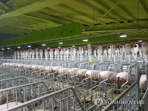 축사시설 현대화 사업[연합뉴스 자료사진]