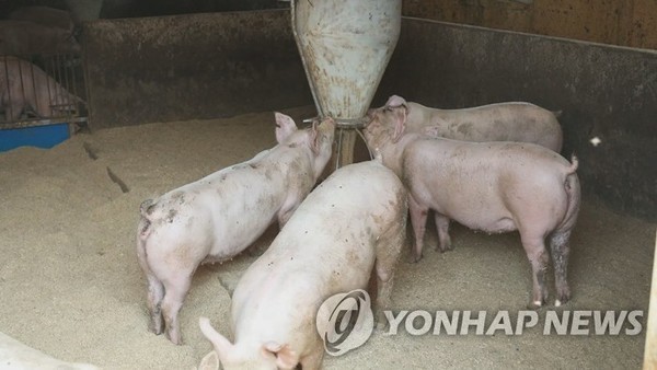 연합뉴스 제공.