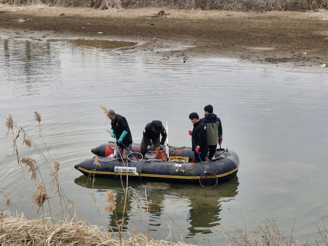 서산시 둔당천에서 폐사한 물고기를 수거하고 있는 모습.(사진=전종원 기자)