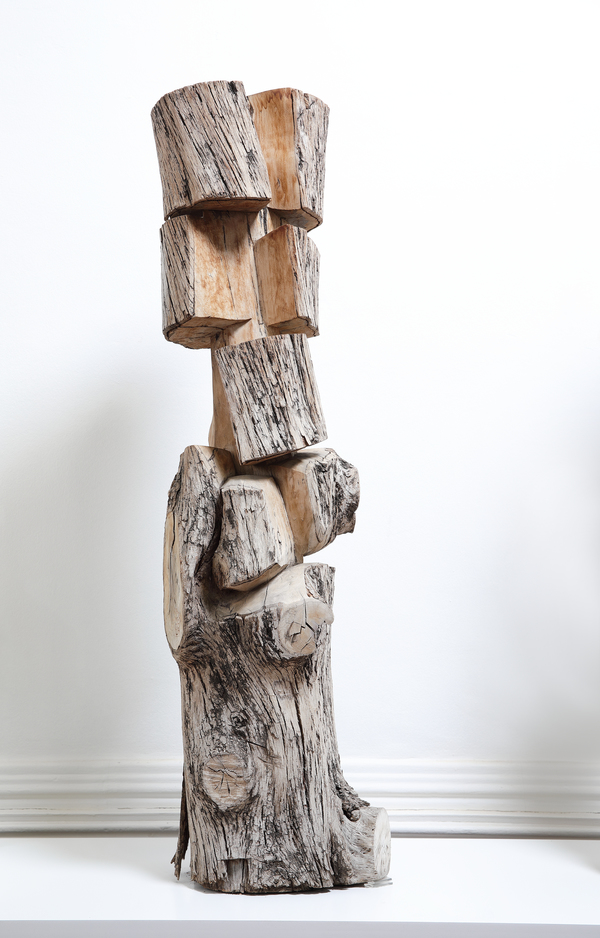 김윤신 '미상의 나무'