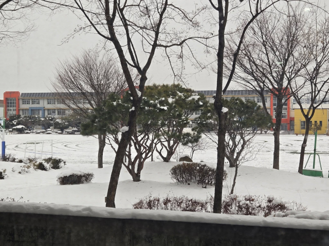 충주의 한 중학교 운동장에 자동차가 무단 침입, 운전 연습한 바퀴 자국이 선명하게 남아 있다. 이정범 충북도의원 제공