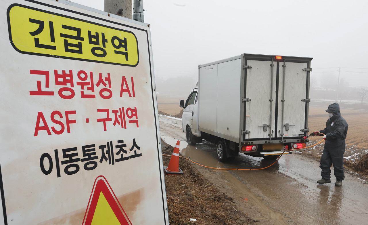 고병원성 AI 방역[연합뉴스 자료 사진]