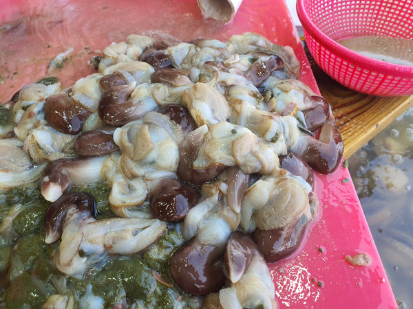 손질한 새조개. 사진=권혁조 기자.