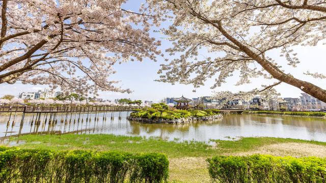 중앙호수공원 전경. 서산시 제공