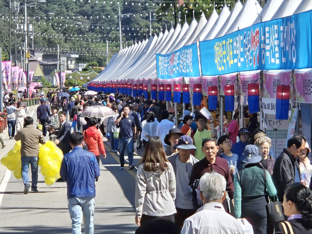 청원생명축제[청주시 제공]