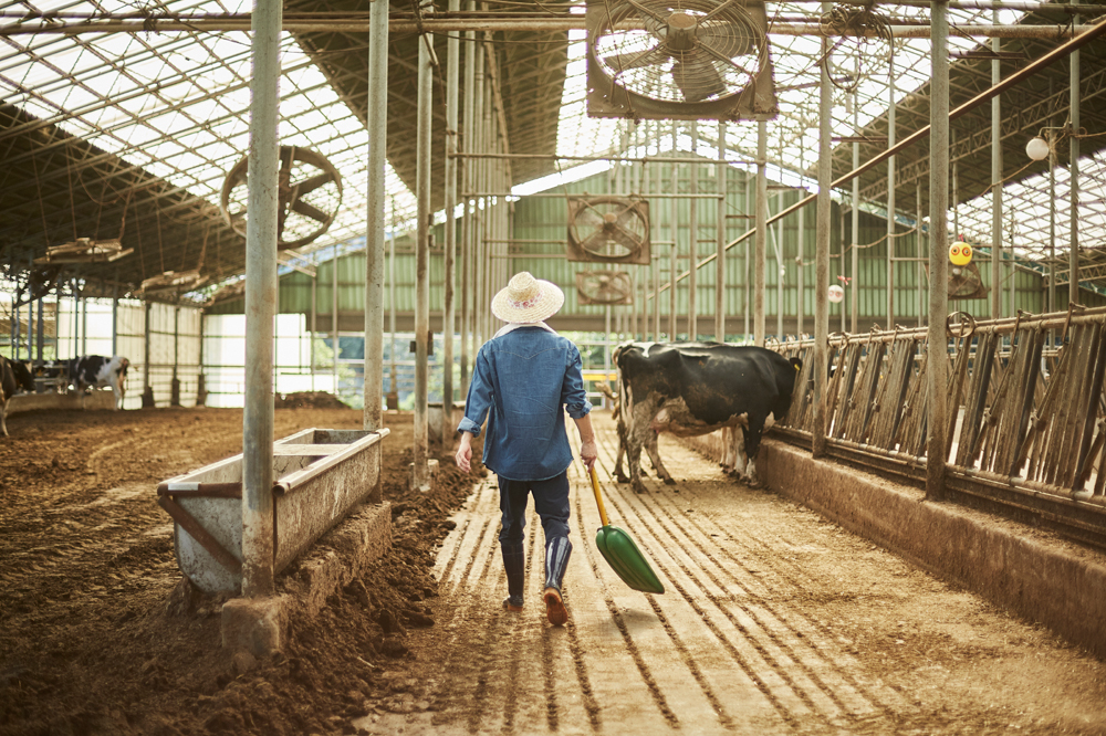 청년농업인. 아이클릭아트 제공. 