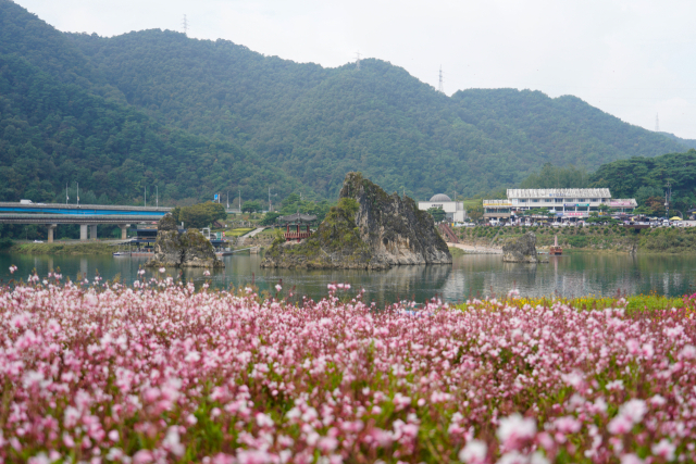 전국이 인정한 충북 최다 방문 관광지 단양 도담삼봉에 아름다운 자태. 단양군 제공