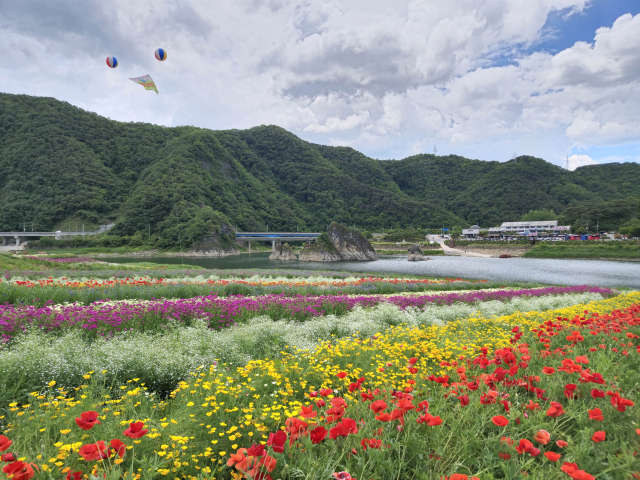 전국이 인정한 충북 최다 방문 관광지 단양 도담삼봉에 아름다운 자태. 단양군 제공