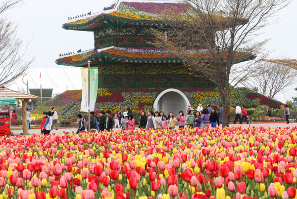 2009 안면도국제꽃박람회.