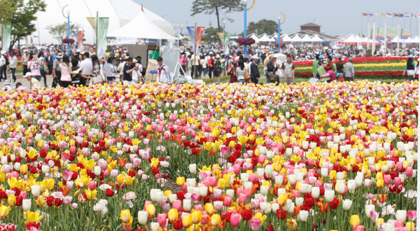 2009 안면도국제꽃박람회.