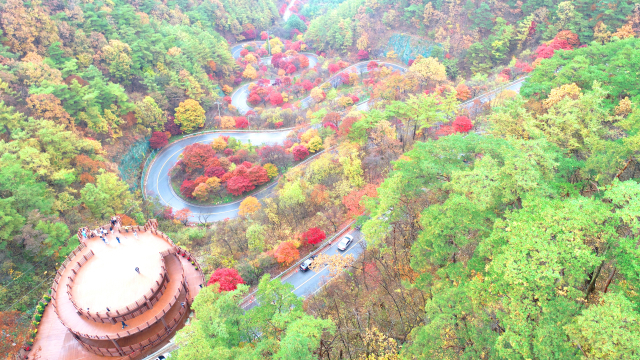 굽이굽이 산길과 빼어난 풍광으로 가을 단풍 명소로 유명했던 보발재가 사계절 내내 관광객을 사로잡는 명소로 떠오르고 있어 이목이 집중된다. 사진은 단풍으로 물들어진 가을 보발재 모습. 단양군 제공