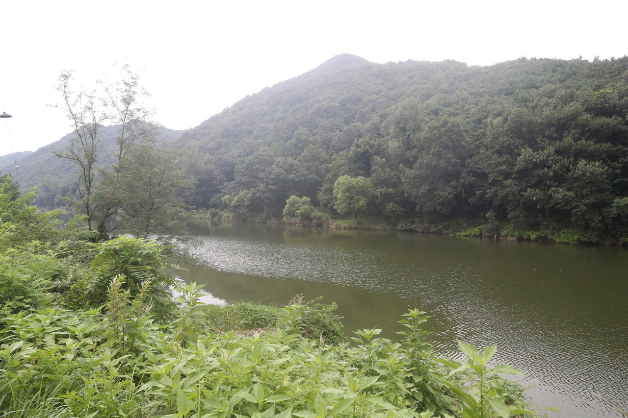 충남 청양 지천댐 건설 예정지. 사진=연합뉴스