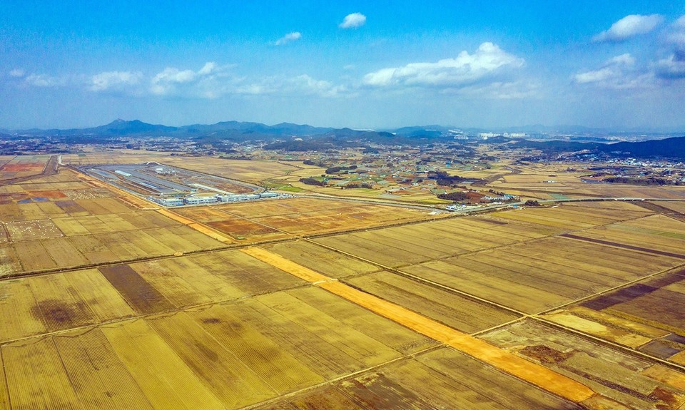 천수만 서산간척지 B지구 [서산시 제공]