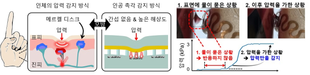 나노 갭 압력 센서의 모식도. KAIST 제공