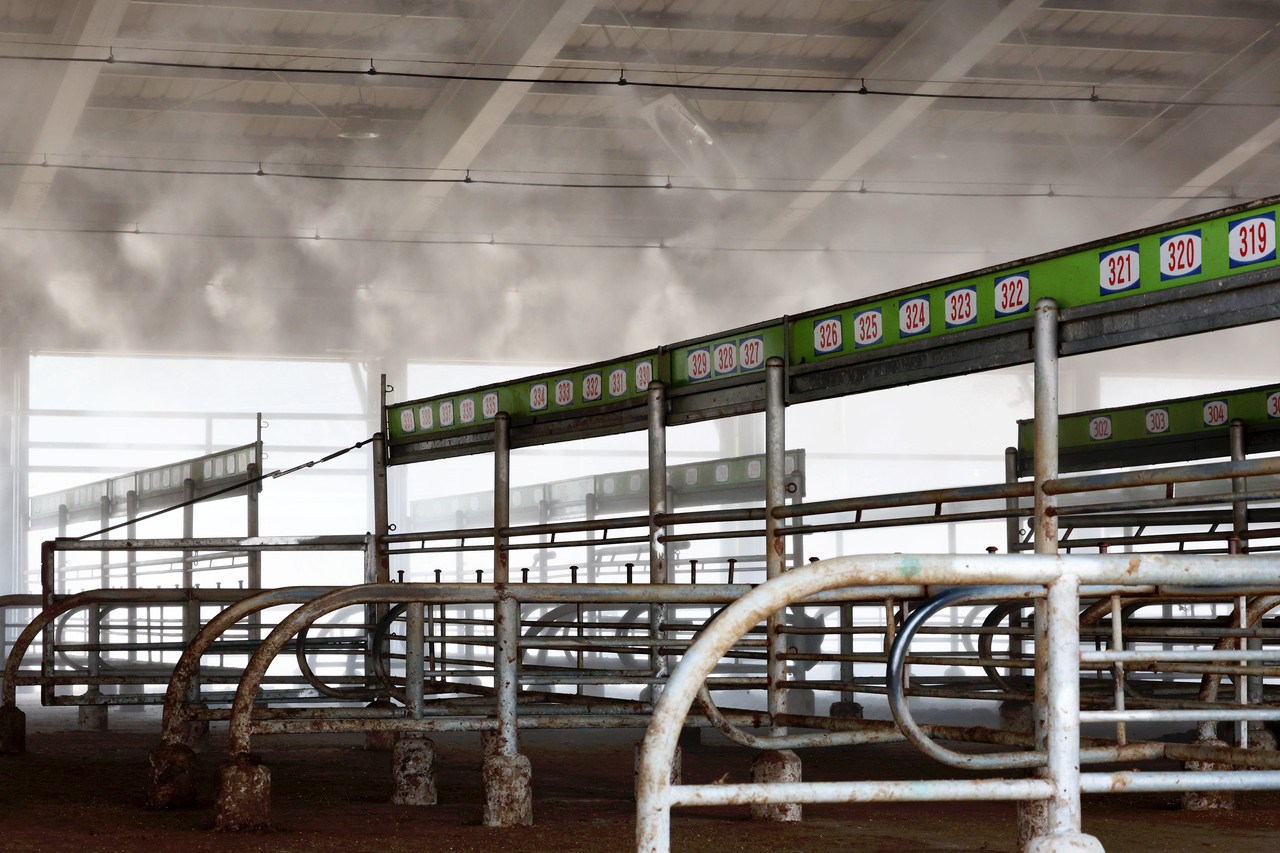 17일 전남 영암 가축경매시장에서 구제역 확산 차단 방역작업이 이뤄지고 있다. 2025.3.17 사진=연합뉴스.