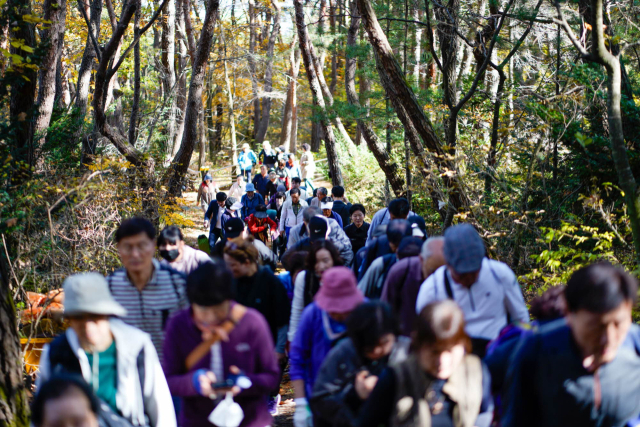지난해 단양군민과 관광객이 단양 대성산을 맨발로 걷고 있다. 단양군 제공
