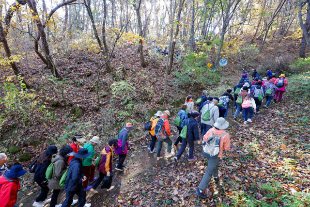 지난해 단양군민과 관광객이 단양 대성산을 맨발로 걷고 있다. 단양군 제공