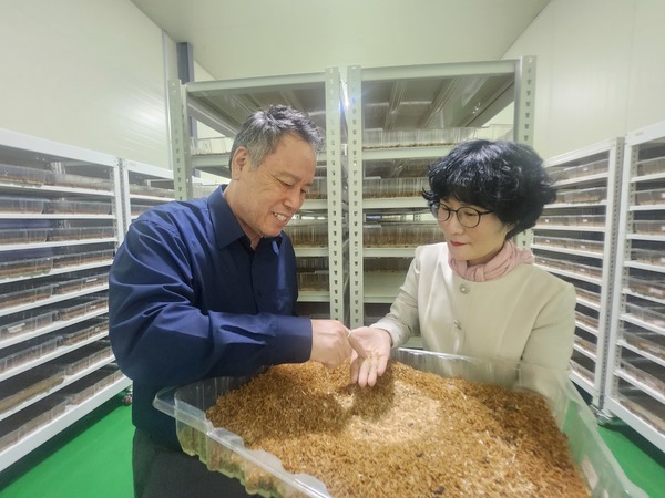 ▲ 김경숙(오른쪽) 고소해 대표가 여명구 충청투데이 사장에게 갈색거저리 유충을 들어 보이고 있다.  사진=김진로 기자