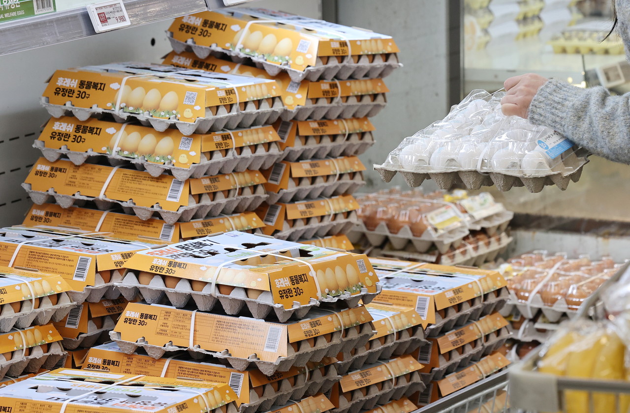 24일 서울의 한 대형마트에서 시민이 달걀을 고르고 있다. 축산물품질평가원 자료에 따르면 이날 기준 특란 30구 평균 도매가는 5천335원으로 한 달 전(4천759원)보다 11.2% 올랐다. 유통업계에서는 미국 계란 수출이 본격화되면 가격 오름세가 강해질 것으로 분석하고 있다. 2025.3.24 사진=연합뉴스.