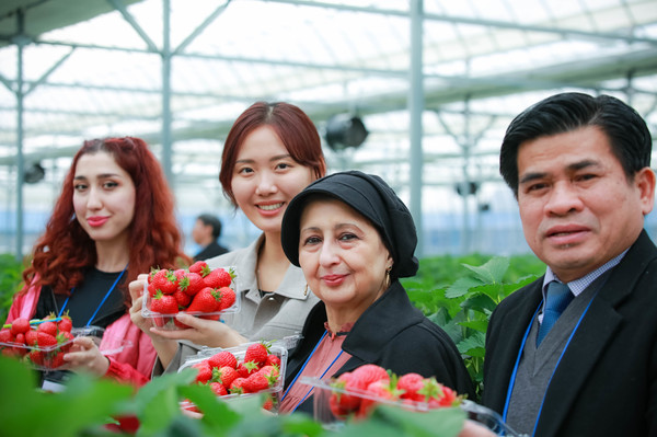 ▲ 논산딸기축제