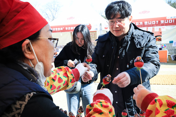 ▲ 논산딸기축제
