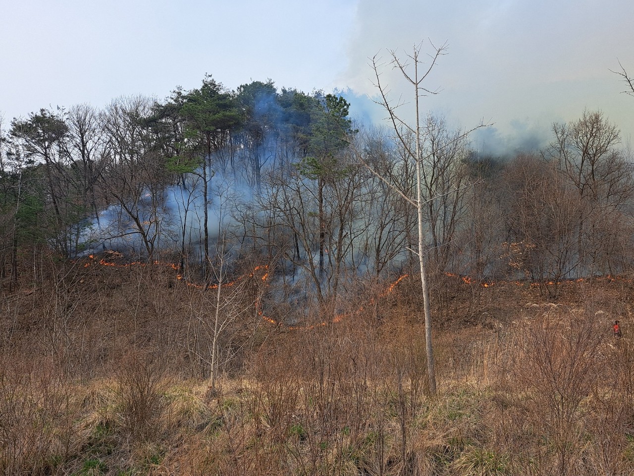 25일 오후 충북 영동군 부상리의 한 야산에서 불길이 번지고 있다. 이 곳은 지난 23일 옥천에서 시작된 산불이 번졌다가 주불 진화가 됐었던 지역이다. 2025.3.25 [영동소방서 제공. 재판매 및 DB 금지]