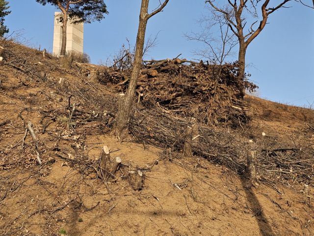 충주시 마즈막재에 위치한 대몽항쟁 전승기념탑 일원 곳곳에 임목 폐기물이 약 10t 이상 무단 방치되어 있다. 사진=충주시