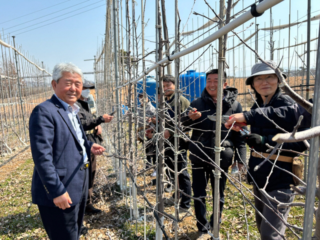에산능금농협 권오영 조합장(왼쪽)과 조합원들이 사과 전정 작업을 하고 있다. 예산군 제공
