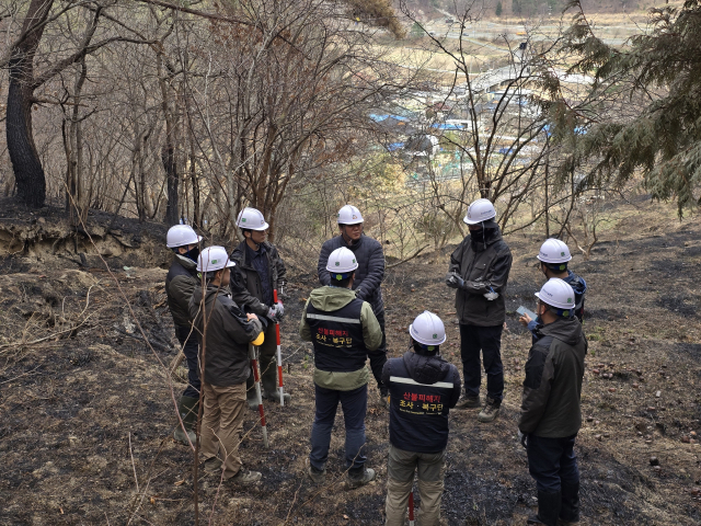 산불피해지 긴급진단팀이 울산 울주군에서 대형 산불피해지 산사태 긴급진단에 나섰다. 산림청 제공