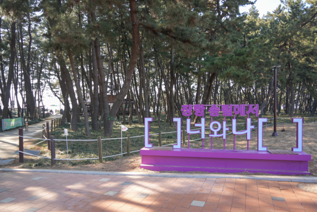 장항 맥문동 산림욕장.사진=서천군 제공.