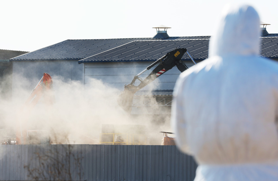 고병원성으로 의심되는 조류인플루엔자(AI) 항원이 검출된한 산란계 농장에서 8일 오후 살처분 작업이 진행되고 있다. 사진=연합뉴스