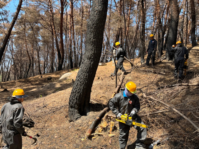 지난 2023년 강원지역 산불피해 현장에서 진행된 가드닝 활동 사진.코레일 제공.
