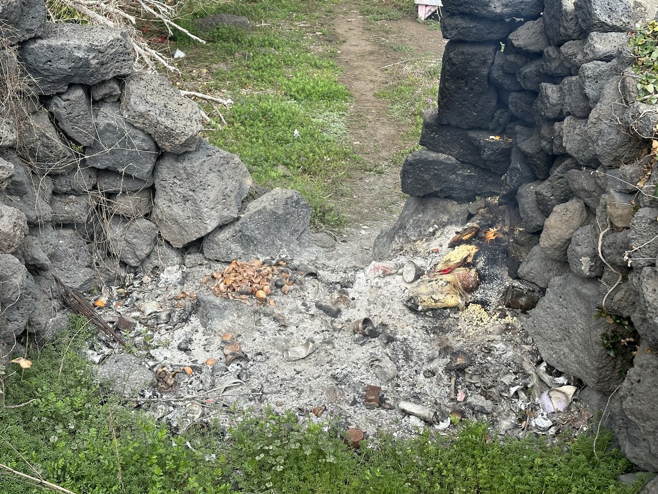 밭두렁 불법소각[연합뉴스 자료사진]