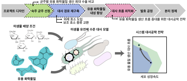 유전체 수준 대사 모델을 이용한 미생물 세포 공장 개량 전략 제시 개요 모식도.KAIST 제공.