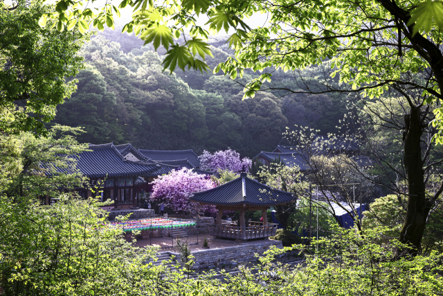 개심사 전경. 서산시 제공