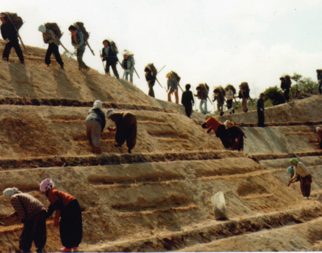1973~1977년 영일만 복구. 국가유산청 제공