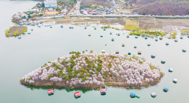 한폭의 수묵화를 연상케하는 진천 초평호 꽃섬. 진천군 제공