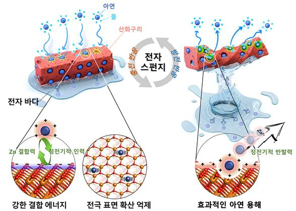 수계아연전지 내구성 개선에 적용된 ‘전자 스펀지 기술’ 설명 이미지.한국에너지기술연구원 제공.