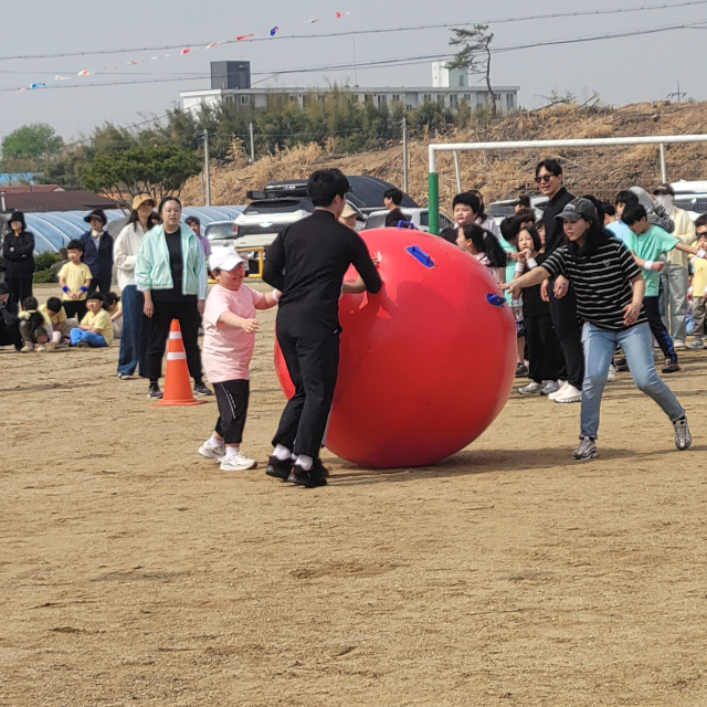 ▲애드벌룬을 팀별로 힘껏 굴리며 결승선을 향해 달리는 모습으로, 아이들과 학부모가 한마음으로 협력하며 운동장을 활기차게 물들이고 있다. 사진=김흥준 기자
