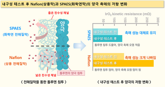 내구성 테스트 후 Nafion(상용막)과 SPAES(화학연막)의 양극 촉매의 저항 변화 설명도.한국화학연구원 제공.