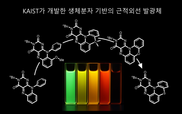 삼환형에서 오환형 플라빈 분자 변경과정 연구모식도.KAIST 제공