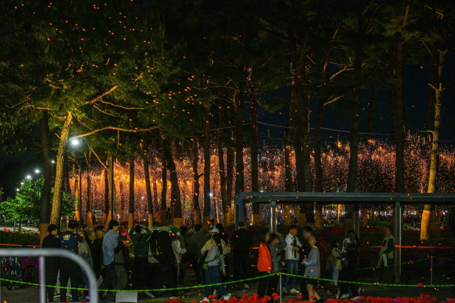 ▲세종낙화축제